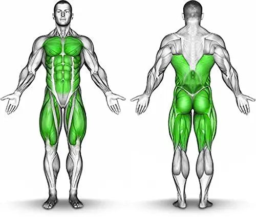 Vasoburn 3.38 oz Pump Bottle, Targets Stubborn Areas, Capsacin Cream, yohimbine Cream MPA