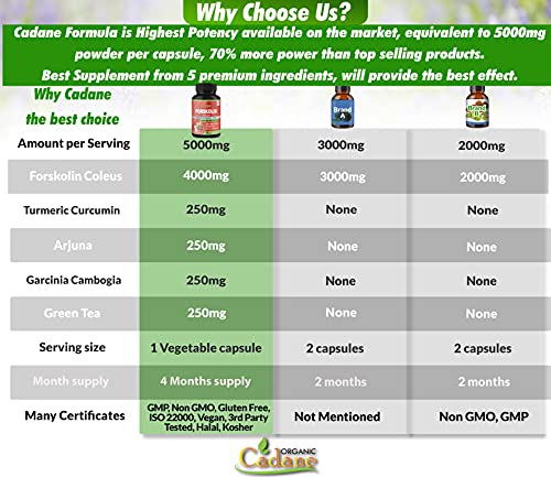 2 Packs Organic Forskolin Supplements Capsules 5000mg with Turmeric, Arjuna, Garcinia Cambogia Organic Cadane