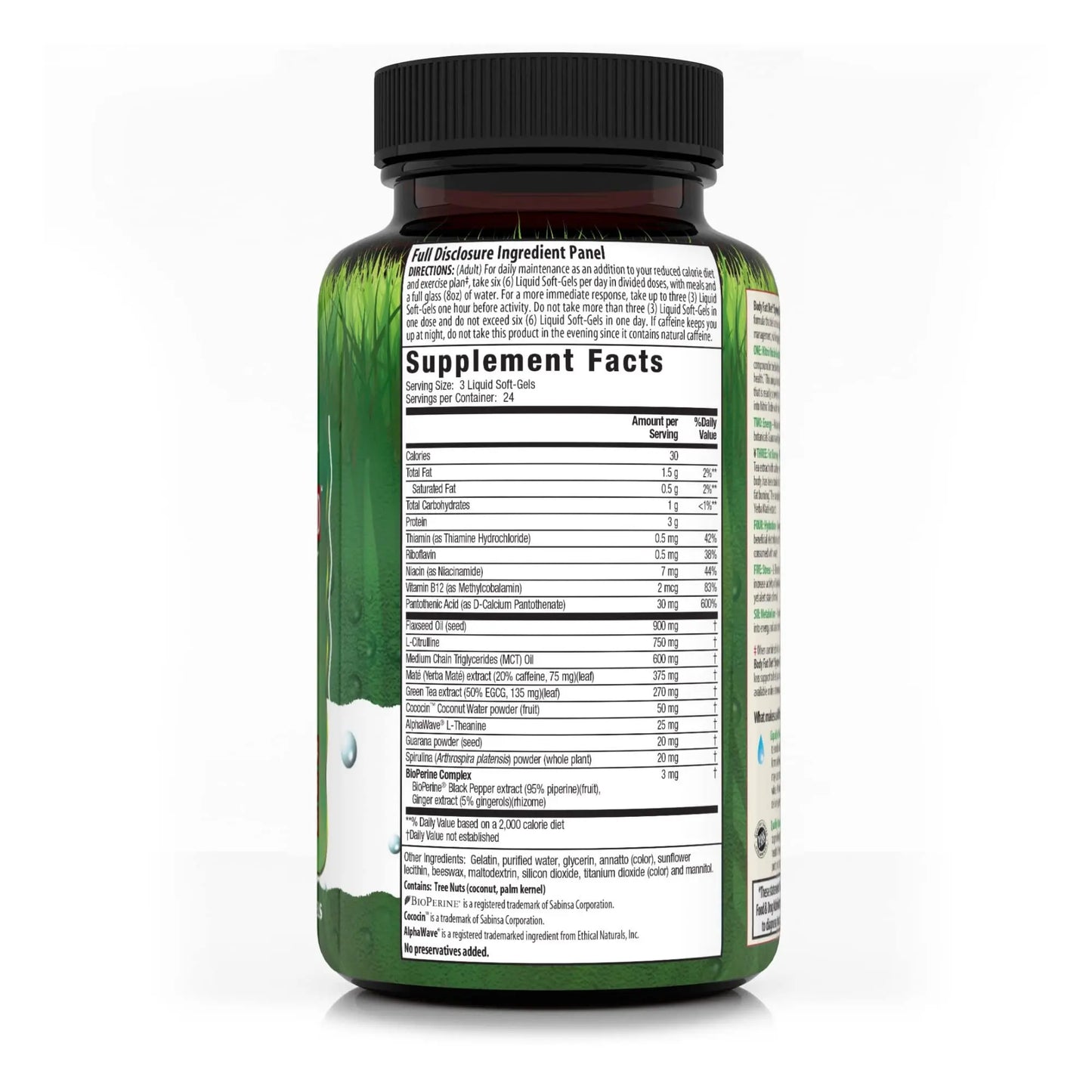 Irwin Naturals Body Fat Diet System-Six RED - 72 Liquid Soft-Gels, Pack of 2 - 6-in-1 Formula Irwin Naturals