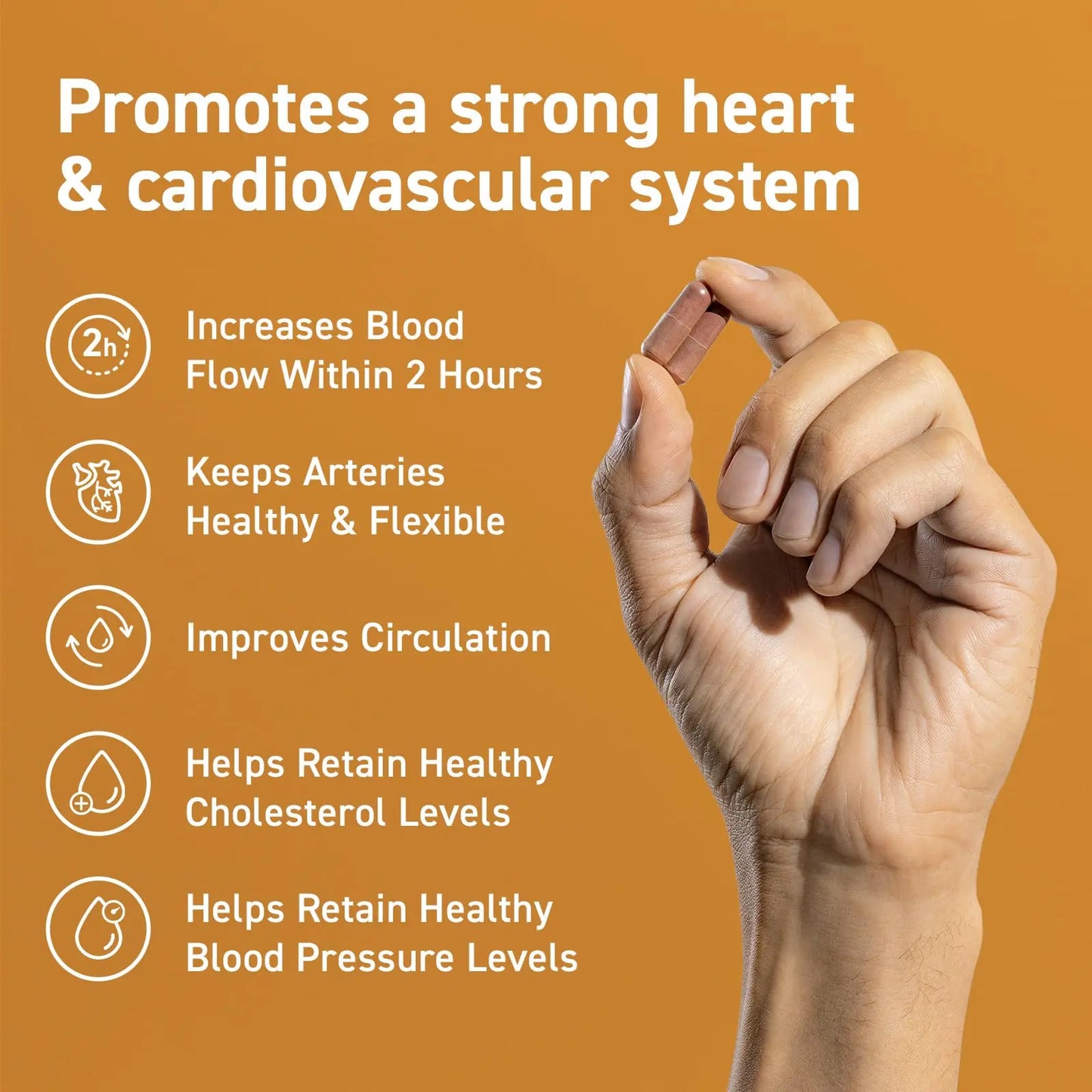 CocoaVia Cardio Health Supplement, 30 Day, 500mg Cocoa Flavanols, Support Heart Health CocoaVia