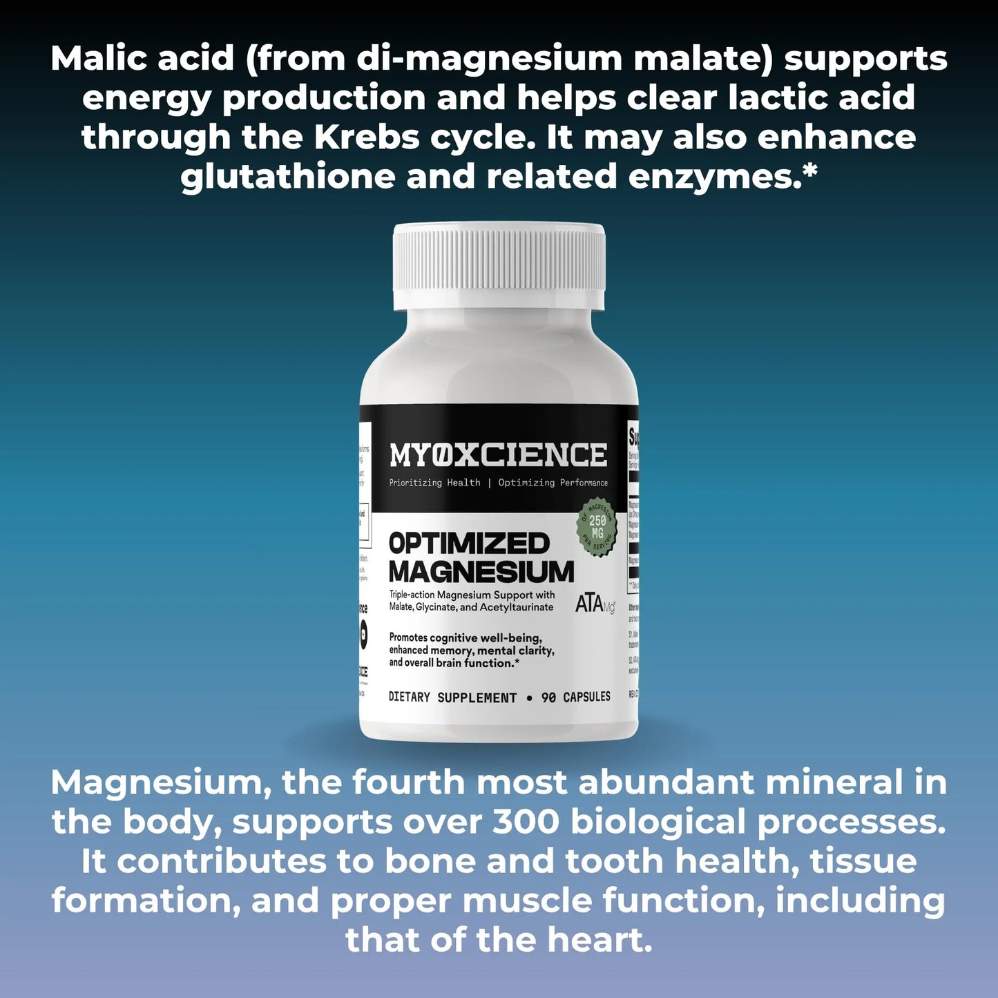 MYOXCIENCE Optimized Magnesium Glycinate + Magnesium Taurate (as ATAmag®) for High Brain Bioavailability to Support Stress Relief and Sleep | 30 Servings MYOXCIENCE buy supplements Au