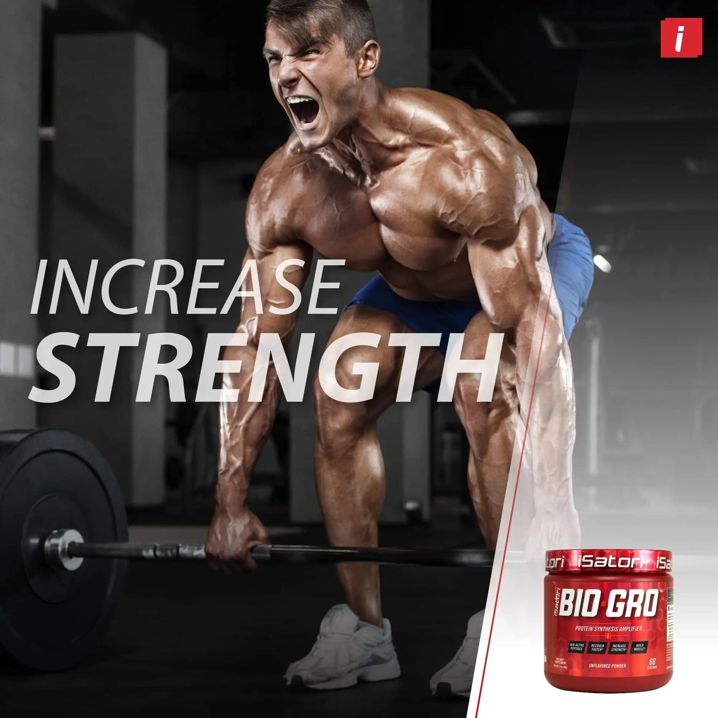 iSatori Bio-GRO Protein Synthesis Amplifier - Unflavored (60 Servings) & iSatori Ultra CLA iSatori