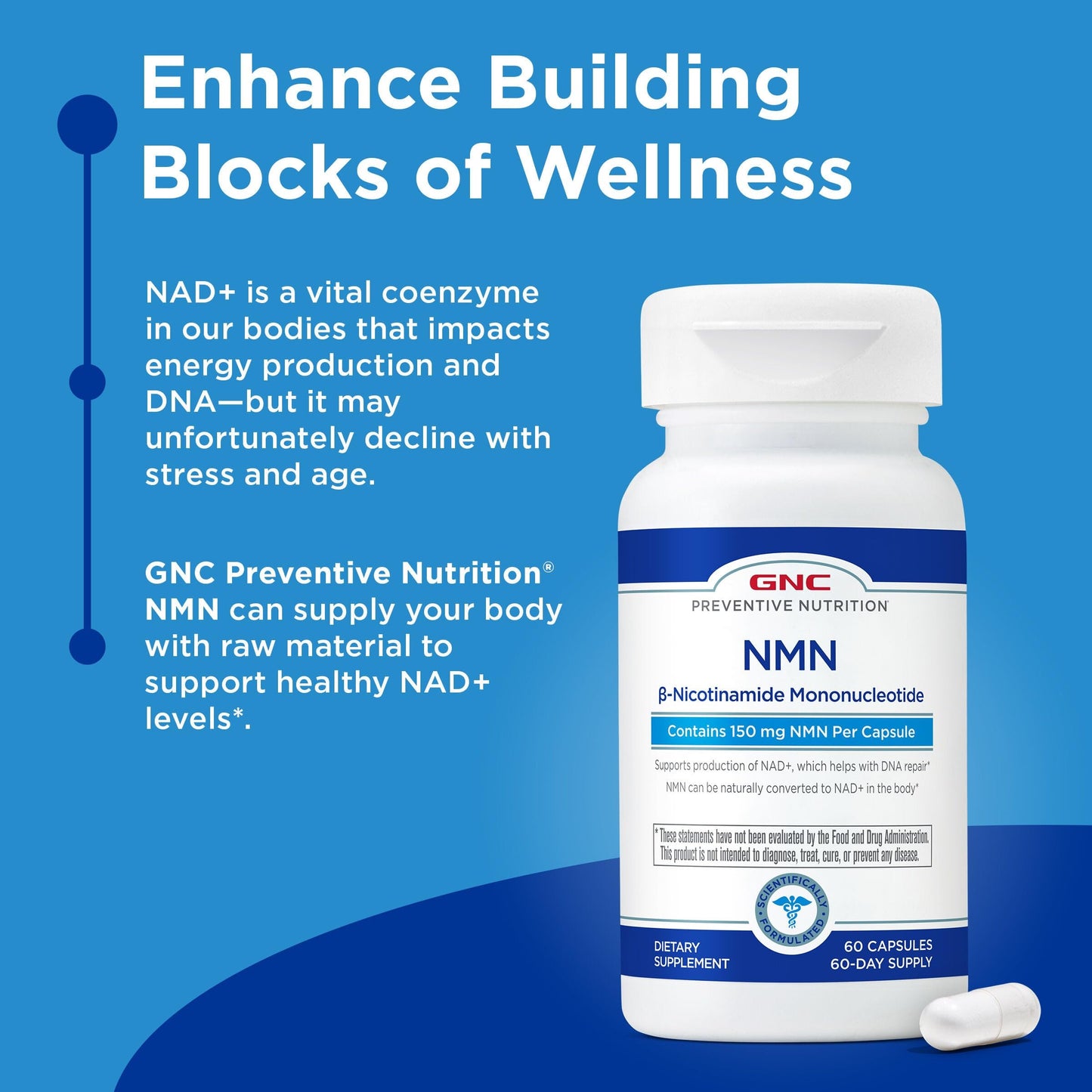 GNC Preventive Nutrition NMN, 150 mg, NAD+ Booster Supplement for Cellular Energy & DNA Repair, Anti-Aging Support, 60 Capsules, Gluten Free, 60 svg GNCBuy Supplements Australia