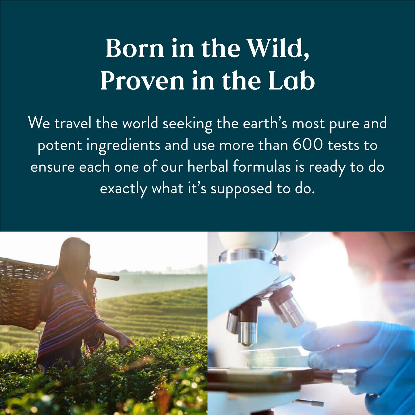 Nature's Sunshine Prenatal, 120 Tablets | Prenatal Vitamin Provides a Combination Nature's Sunshine