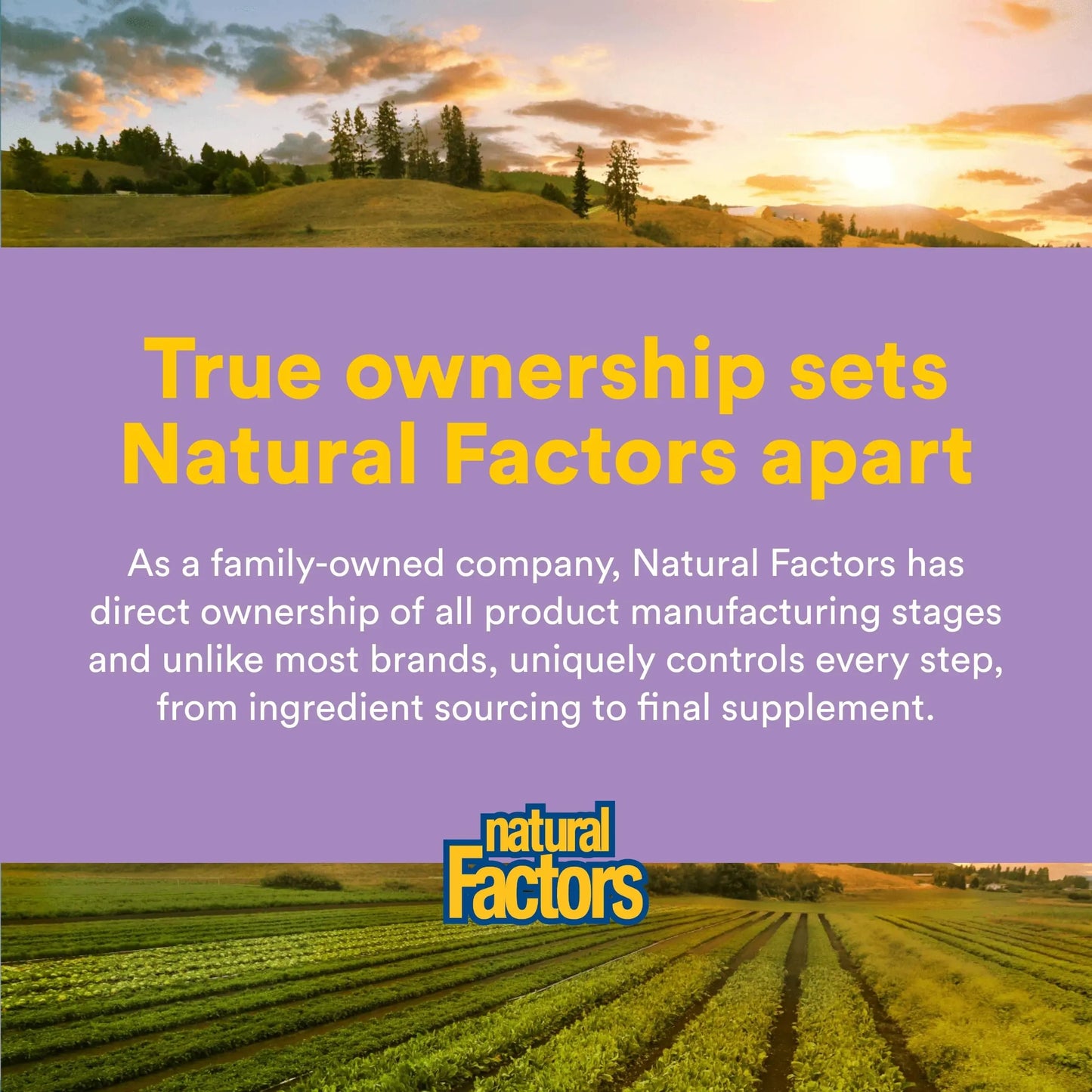Natural Factors Pharma GABA - Dietary Supplement Supports Calm Sleep & Sleep Quality - Natural, Fast-Working Supplement Aids Focus & Brain Health - 120 Chewable Tablets (60 Servings) Natural Factors buy supplements Au