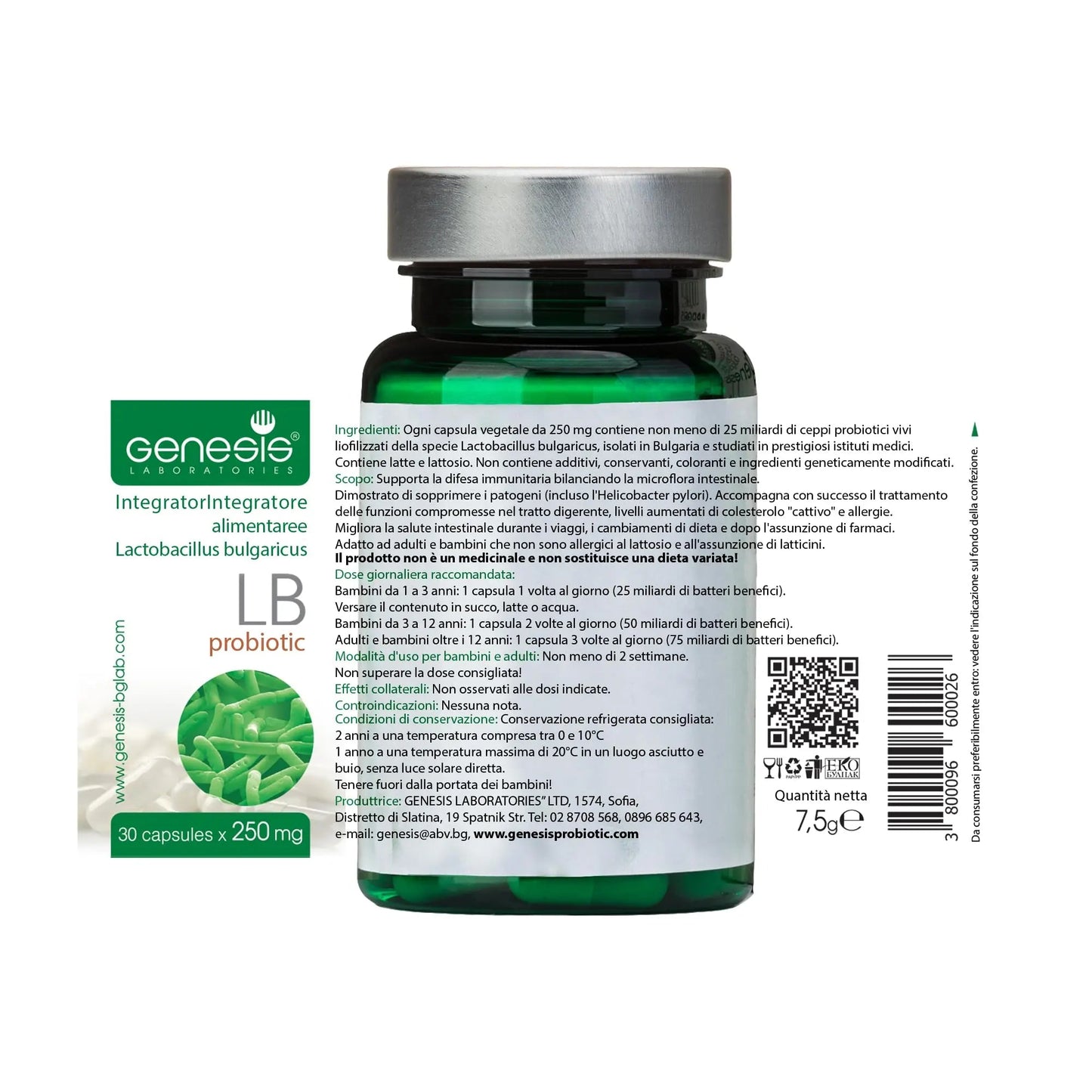 Probiotic Lactobacillus Supplement 30 Capsules with Lactobacillus Bulgaricus 250 mg Probiotic Digestive Immune Support Gut Health Probiotics for Digestive Health Anti Bloating Genesis LABORATORIES buy supplements Au