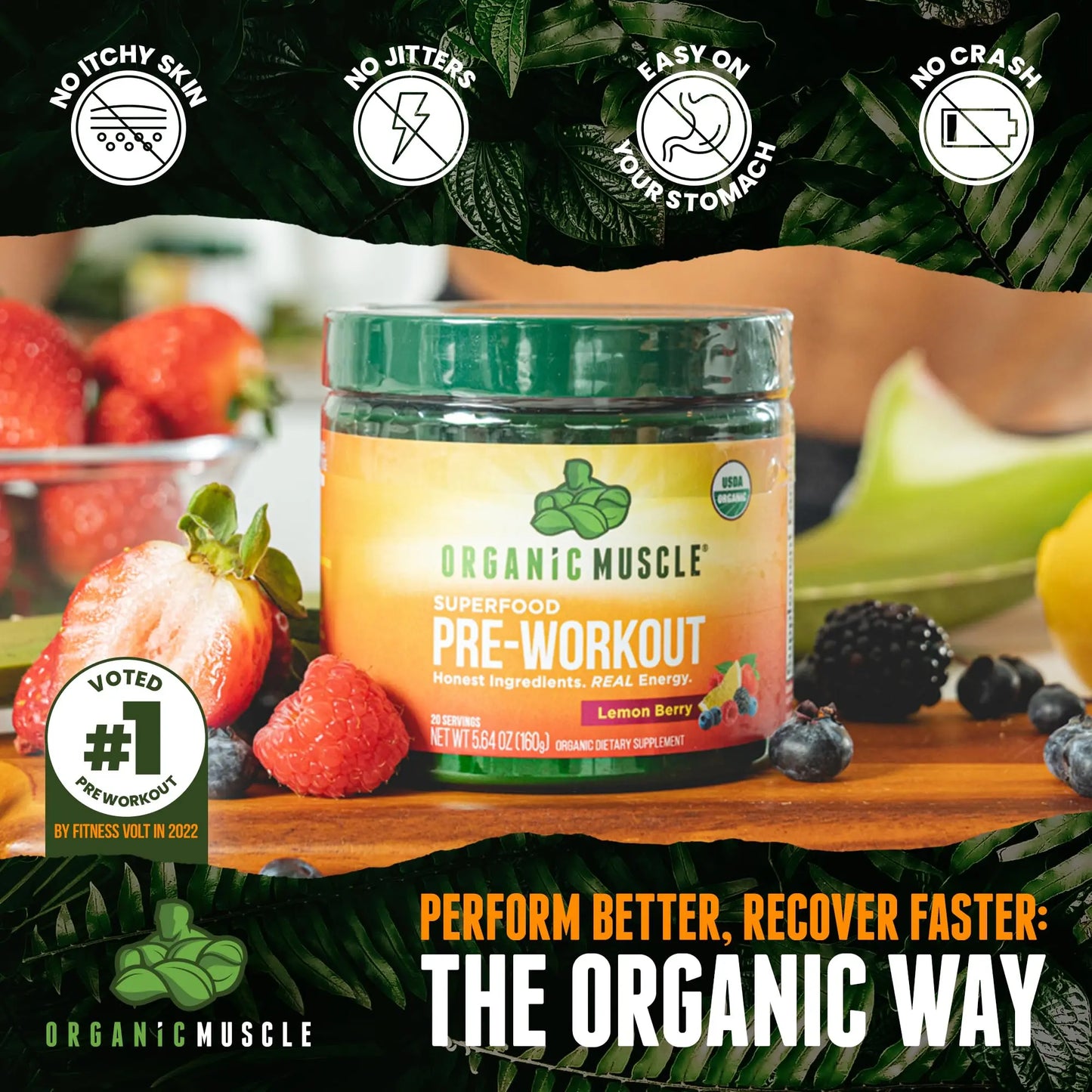 Organic Muscle Superfood Pre Workout Powder for Men & Women, Lemon Berry Organic Muscle