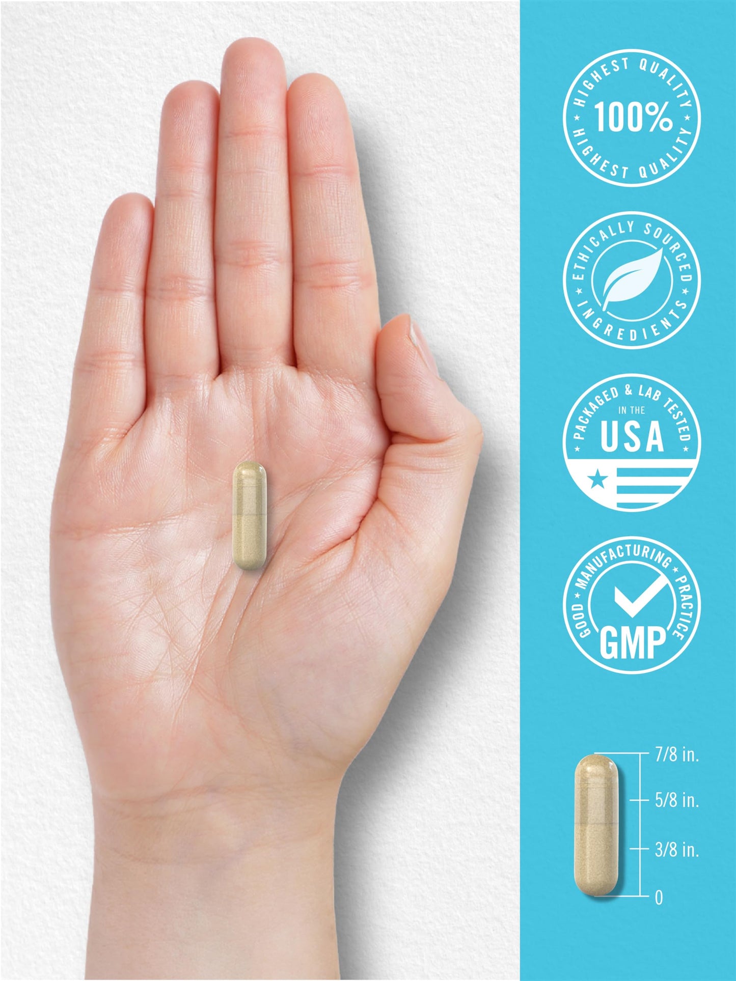 Carlyle NAD+ Supplement for Women & Men | 1000 mg | 60 Capsules | Advanced Complex with Resveratrol and Collagen | Non-GMO & Gluten Free Carlyle buy supplements Au