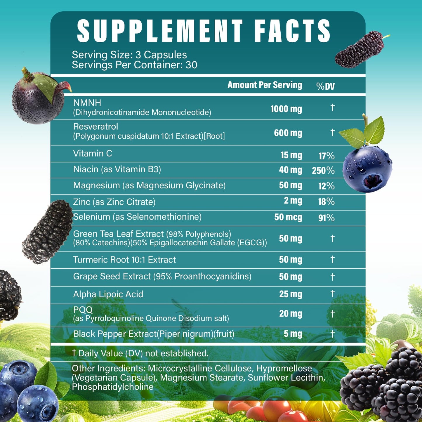 13 in 1 NMNH (Dihydronicotinamide Mononucleotide) 1000mg Per Serving, NMN Supplement Alternative with Liposomal NAD+ and Resveratrol, Non-GMO, Gluten-Free – for Anti-Aging, Energy, Focus – 90 Capsules TatavonixBuy Supplements Australia