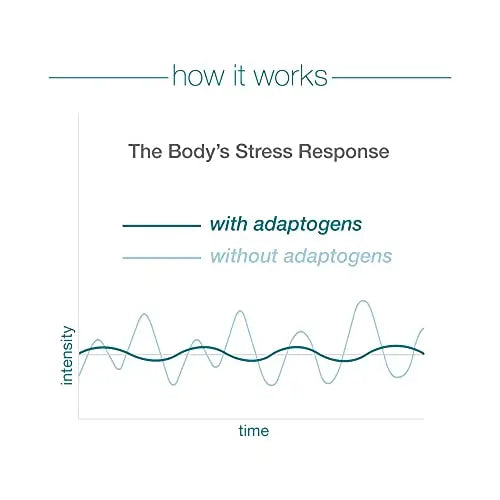 Youtheory ashwagandha Capsule, Helps Maintain Normal cortisol Level, Helps Reduce Youtheory