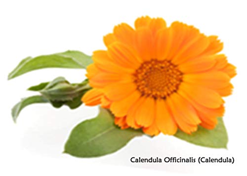 Yeast Rescue® Treatment 16 fl.oz. Refill - Economy Size Well-In-Hand