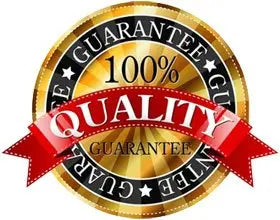 Nitric Oxide powder with L-arginine and L-glutamine - Nitric Oxide Pre-Workout Booster VIP VITAMINS