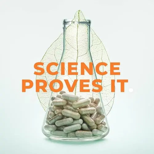 Rest-ZZZ - Powerful Sleep Support Supplement - Fall Asleep & Stay Asleep - Calms Nervous System LifeSeasons