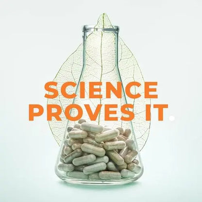 Rest-ZZZ - Powerful Sleep Support Supplement - Fall Asleep & Stay Asleep - Calms Nervous System LifeSeasons