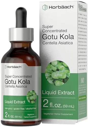 Gotu Kola Extract | 2 fl oz | Alcohol Free | Super Concentrated Liquid Herb Supplement Horbäach
