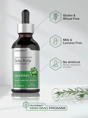 Gotu Kola Extract | 2 fl oz | Alcohol Free | Super Concentrated Liquid Herb Supplement Horbäach