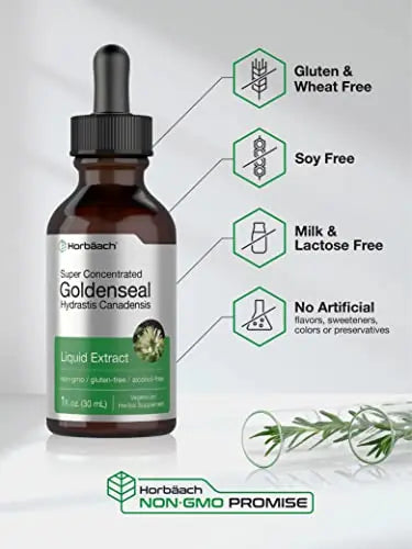 Goldenseal Root Extract Liquid | 1 fl oz Tincture | Super Concentrated | Alcohol Free Horbäach