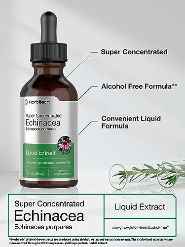 Echinacea Drops Liquid Extract | 2 fl oz | Super Concentrated Tincture | Alcohol Free Horbäach