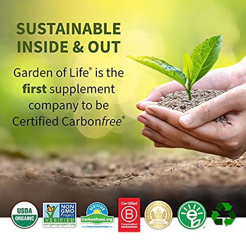 Garden of Life Raw Organic Fit Vegan Protein Powder Original, 28g Plant Based Protein Garden of LifeBuy Supplements Australia