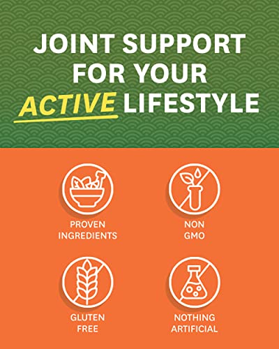 Zenwise Health Glucosamine Chondroitin MSM - Joint Support Supplement with Turmeric Zenwise Health