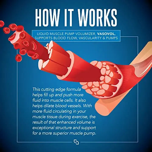 Siren Labs Vaso-VOL Liquid Muscle Pump Volumizer with Agmatine Sulfate - Pre Workout SIRENLABS