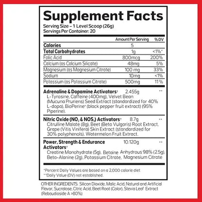 Advanced Molecular Labs - Preworkout Powder, Increases Drive, Performance Enhancer AML ADVANCED MOLECULAR LABS