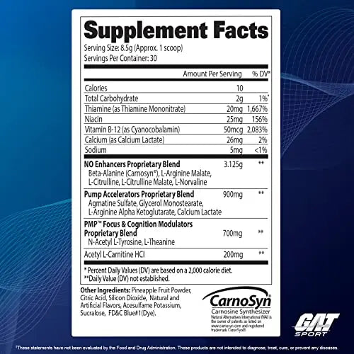 GAT SPORT PMP (Peak Muscle Performance), Pre-Workout, 30 Servings (Blue Raspberry GAT SPORT