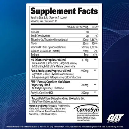 GAT SPORT PMP (Peak Muscle Performance), Pre-Workout, 30 Servings (Blue Raspberry GAT SPORT
