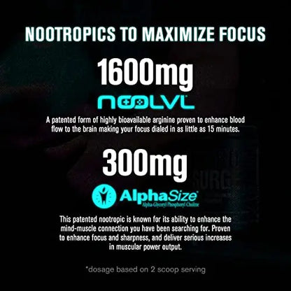 Jacked Factory Nitrosurge Max Nootropic Pre Workout Powder - Premium Pre Workout Jacked Factory