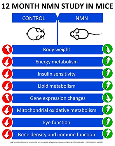 MAAC10 NMN Supplement Real Nicotinamide Mononucleotide (NMN 125mg Capsules). The Most Powerful NAD+ Precursor More Stable Than Riboside. We use 99% Pure Pharmaceutical Grade Stabilized NMN (30 Count) MAAC10Buy Supplements Australia
