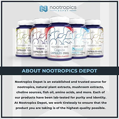 Nootropics Depot Agmatine Sulfate Capsules | 250mg | 240 Count | Energy Supplement Nootropics Depot