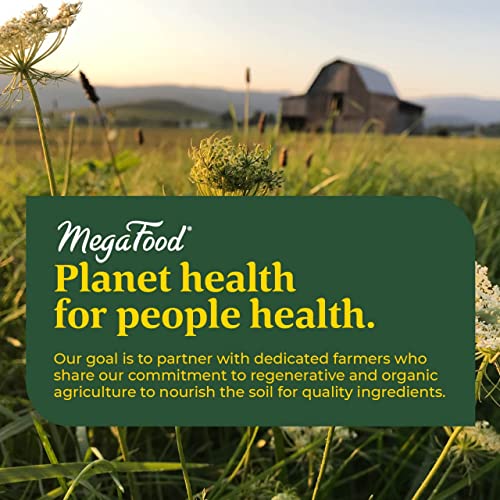 MegaFood Baby & Me 2 Prenatal Vitamin and Minerals - Vitamins for Women - with Folate MegaFood