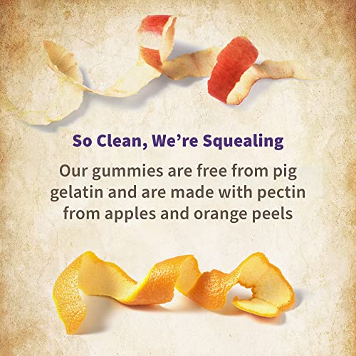 Garden of Life Organics Prenatal Gummies Multivitamin with Vitamin D3, B6, B12, C & Folate Garden of Life