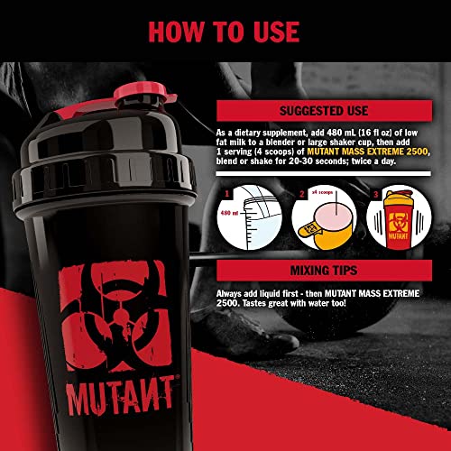 Mutant Mass Extreme Gainer Whey Protein Powder, Build Muscle Size & Strength with High-Density Clean Calories MutantBuy Supplements Australia