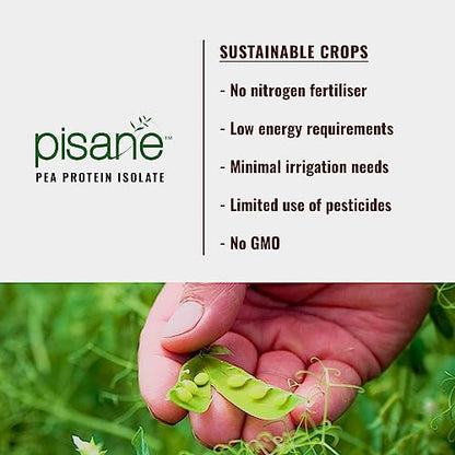 Weider Vegan Protein (750g) Vanilla Flavour. 23g Protein/dose, Pea Isolate (Pisane) & Rice Proteins Weider