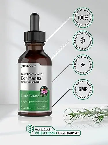 Echinacea Drops Liquid Extract | 2 fl oz | Super Concentrated Tincture | Alcohol Free Horbäach