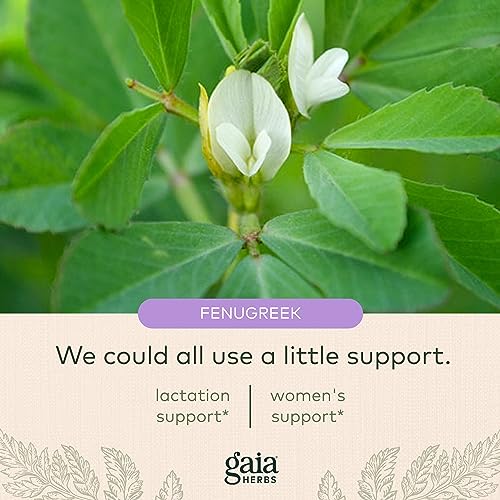 Gaia Herbs Fenugreek Seed - Helps Support Healthy Lactation and Breast Milk Production Gaia Herbs