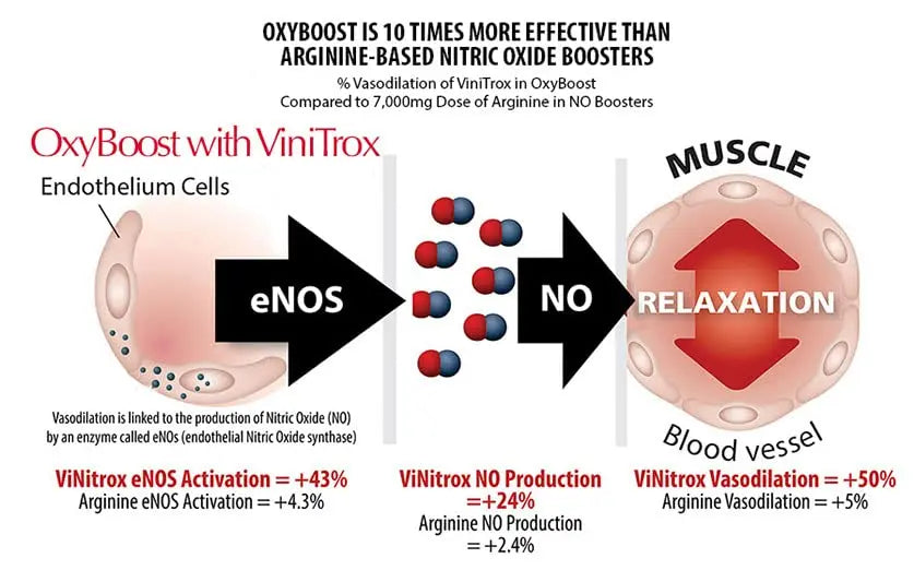 OxyBoost - Nitric Oxide Supplement (1 Bottle - 30 Servings) OxyNaturals