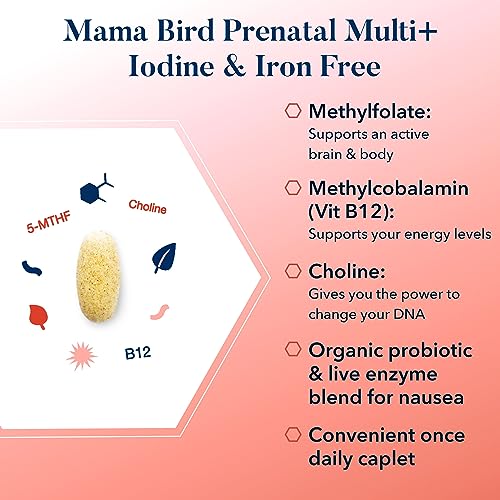 Best Nest Wellness Mama Bird Prenatal Vitamin Iron Free, No Iron or Iodine, Methylfolate Best Nest Wellness