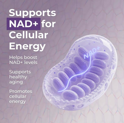 Neurogan Beta NMN (β-NMN) Supplement 500 mg per Serving, High Purity – NAD+ Precursor for Cellular Energy & Vitality – 120 Capsules (2-Month Supply) – Made in USA NeuroganBuy Supplements Australia