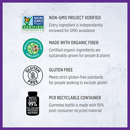 New Chapter Prenatal Multivitamin Gummies – 71% Less Sugar, Prenatal Gummies New Chapter