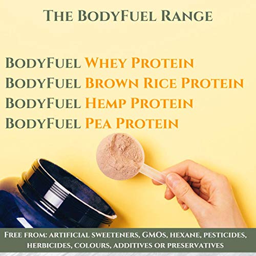 Complementary Supplements - BodyFuel Whey Protein Isolate & Concentrate Chocolate Flavour Complementary SupplementsBuy Supplements Australia