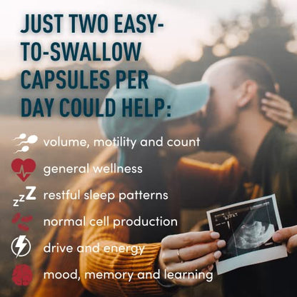 Fertility Supplements For Men Prenatal Vitamins - Conception For Him Male Fertility Vitamin WINDSOR BOTANICALS