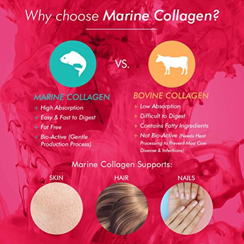 BIOGLAN Beauty Collagen Powder, 151 grams BioglanBuy Supplements Australia