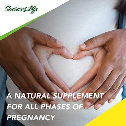NaturesPlus Source of Life Prenatal - 800 mcg Folate, 180 Vegetarian Tablets Nature's Plus