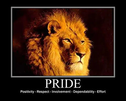 #1 Pre Workout - Dominate X 500g - Best Nitric Oxide & Creatine Pre-Workout Formula Pride Nutrition