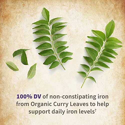 Garden of Life Organics Women’s Prenatal Multivitamin with Vitamin D3, B6, B12, C & Iron, Folate Garden of Life