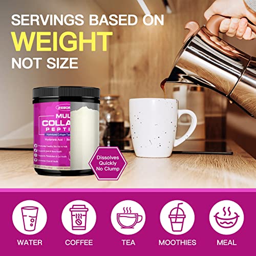 ZEBORA Multi Collagen Peptides Powder - Hydrolyzed Collagen Type I II III V X with Hyaluronic Acid ZEBORA