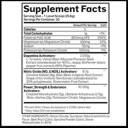 Advanced Molecular Labs - Pre Workout Powder, Increases Drive, Performance Enhancer AML ADVANCED MOLECULAR LABS