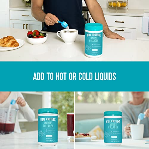 Vital Proteins Marine Collagen Peptides Powder Supplement - Hydrolyzed Collagen - 221g Canister VITAL PROTEINSBuy Supplements Australia